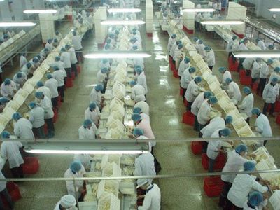 食品制造技术演进 从基础处理到智能制造的三个阶段