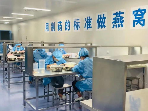 走进珍巢燕窝工厂,还原燕窝生产加工的真相